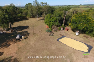 Os Serranos - Madrugada [VDownloader].00_10_29_09.Quadro132_c7a551a5f49bdd383e92303971f0462ac96809e8.jpg